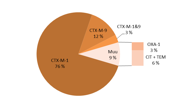 31 Kuvio 7. CTX-M-geeniperheeseen kuuluvien geenien ilmeneminen tutkituilla ESBL E. coli -kannoilla. Useimmilla kannoilla on CTX-M-geenin lisäksi myös muita geenejä.