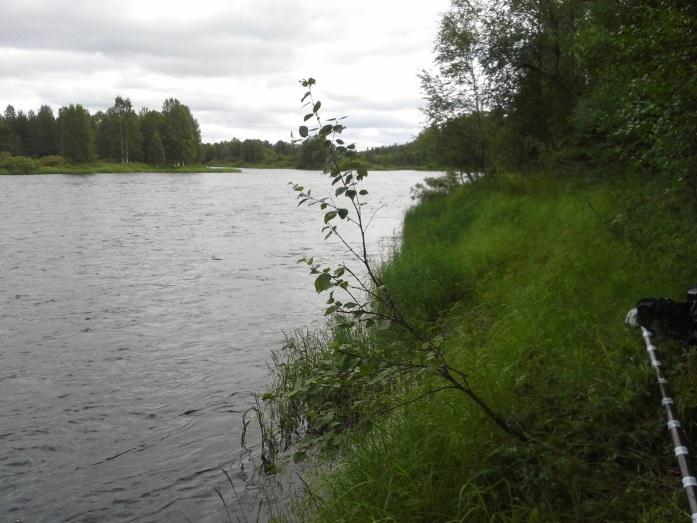 Liite 7 Kuva 7 Ohtaoja, 50 m Koivukosken kalalaitokselta ylävirtaan Kuva 8 Ohtaoja, 100 m