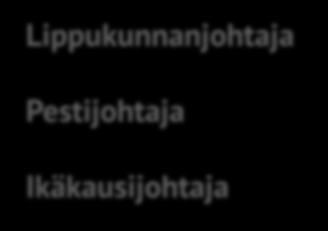 Kokonaisuus näyttäisi tältä: Lippukunta Aluetiimi Piiri Keskusjärjestö Lippukunnanjohtaja Pestijohtaja Ikäkausijohtaja Mentori Lippukuntavalmentaja Pestausvalmentaja Ikäkausivalmentaja Alueryhmä: