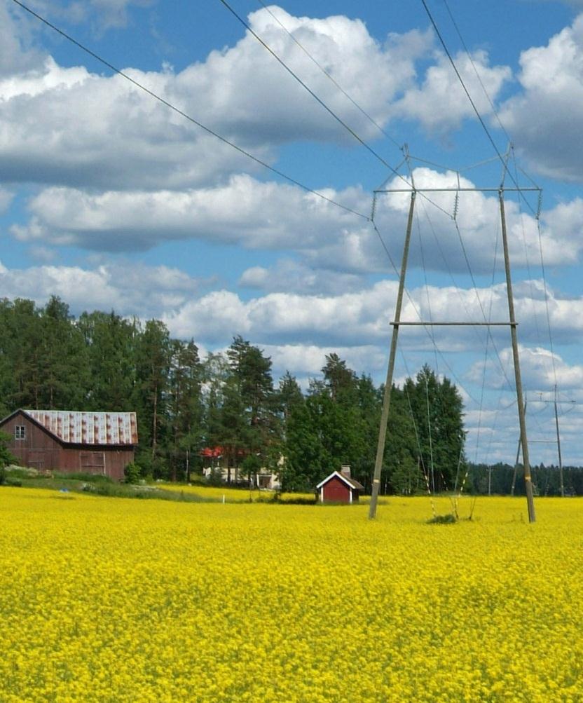 6 Esimerkkejä ympäristöhaasteista Kantaverkon voimajohdon rakentaminen on valtakunnallisesti merkittävä hanke.