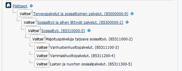 Vammaisten henkilöiden palvelujen asema hankintalainsäädännössä Vammaisille henkilöille tarkoitetut