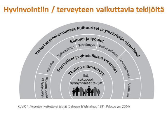 Hyvinvointikertomus: Kunnan tuottamat palvelut kuntalaisilleen terveyden