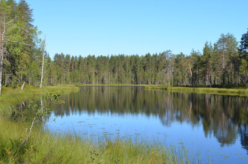 Kuvat