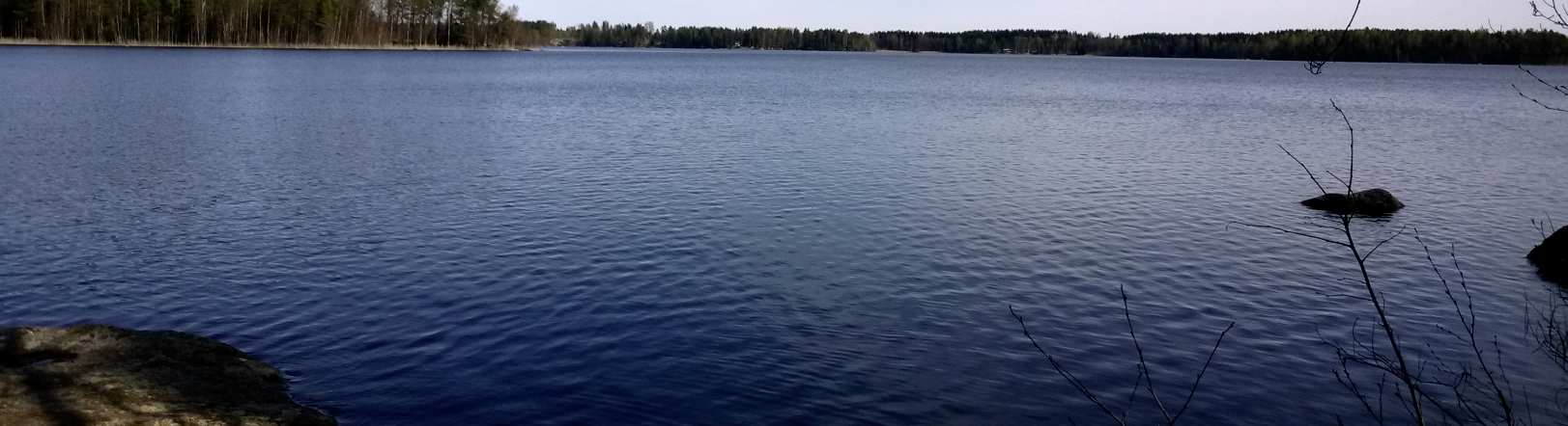 - Lummelampikorennon ja täplälampikorennon lisääntymispaikka, Dir.IV (ei kaavaalueella) - Levonkärjen ravinteinen rantaneva, VU suopunakämmekkä ja RT hoikkavilla (luo/3.