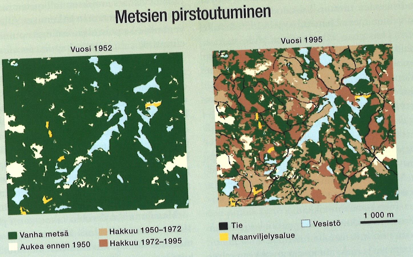 Lähde: T. Kuuluvainen ym.