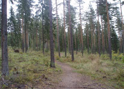 kuva 1: näkymä suunnittelualueelle kuva 2: suunnittelualueen rinnemetsää Maisemakuva Kaavaa-alue muodostaa Vääksyyn päin ajettaessa näkyvän aiheen oikealle puolelle rinteessä, kun taas vasemmalle