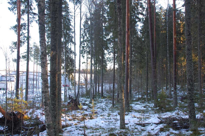 Ympäristökeskus 214005190 19 Asemakaavan selostus 31.01.