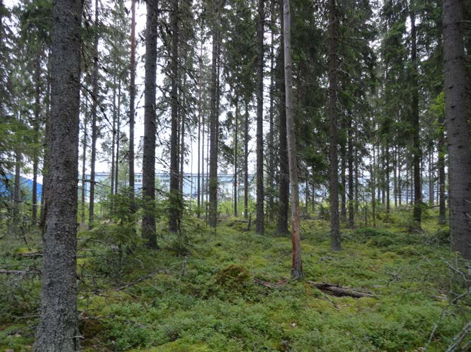 Ympäristökeskus 214005190 9 Asemakaavan selostus 31.01.2017 kaavaehdotus Alueelle on tehty luontoselvitys kesällä 2014. Kaavassa on huomioitu selvityksessä esitetyt kaavassa huomioitavat kohteet.