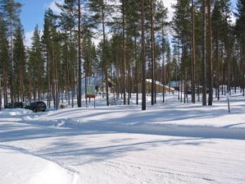 Sahayritysten sopeutumiskyky eri toimintaympäristöskenaarioissa Tuula Nuutinen, EFI/Metla Leena Kärkkäinen, Metla Kari Perttilä,