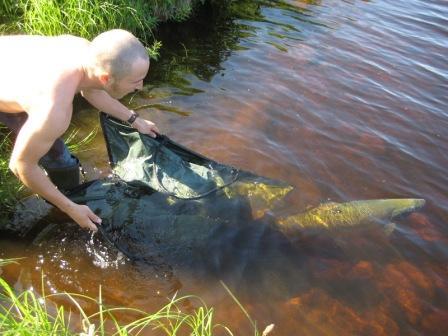 Jos kyse ei ole pienimmistä, maa- ja vesialueiden omistajien suostumuksella tehtävistä toimista: - Kun sovitut kunnostustoimet ja niiden toteuttamistapa on hahmoteltu kunnostusselostukseen sekä