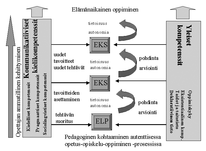 Raili Hildén kuvattavissa hierakkisin tasoin, mutta yleisten kompetenssien kehitys on monimuotoisempaa eivätkä kaikki ominaisuudet (kuten luonteenpiirteet) luonnu skaalattaviksi.