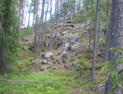 670206.BBJ 4 Himoksella on kuusivaltaisia metsiä ja etenkin purojen varsilla rehevyyttä. Vuorten rinteillä on kalliomänniköitä. Kuvissa metsää alueen eteläosassa ja kalliorinne Kuikanvuorella.