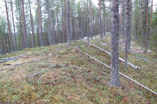 Maisema-alueelle on laadittu Saijan maisema-alueen hoito- ja käyttösuunnitelma (Lapin ympäristökeskus 2006).