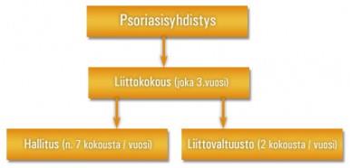 Liittotoimisto Psoriasisliiton liittotoimistossa valmistellaan esitykset hallituksen kokouksiin.