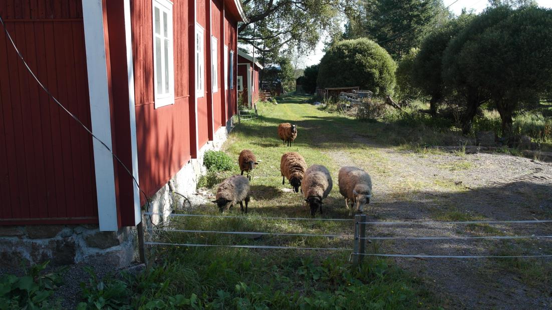 Kaavan suhde valtakunnallisiin alueidenkäyttötavoitteisiin Valtakunnallisesti merkittävien rakennettujen kulttuuriympäristöjen oikeudellinen asema perustuu valtakunnallisten