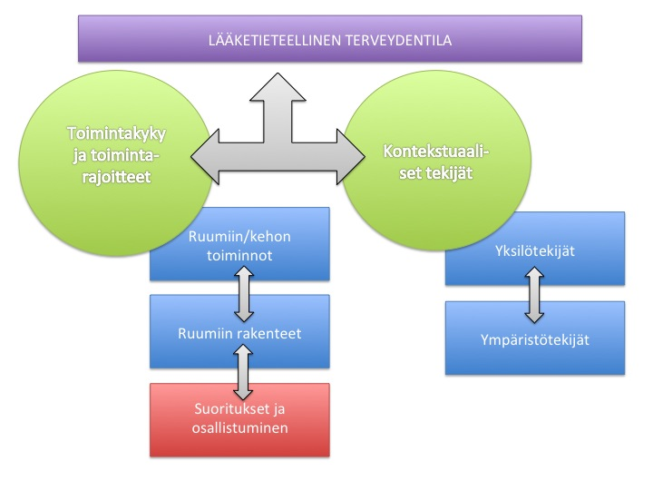 13 (Stakes 2004, 18-20.) Kuvio 1 selventää tämän hetkistä käsitystä ICF- luokituksen eri osa-alueiden välisistä vuorovaikutussuhteista ja niiden monitahoisista vaikutuksista toisiinsa. KUVIO 1.