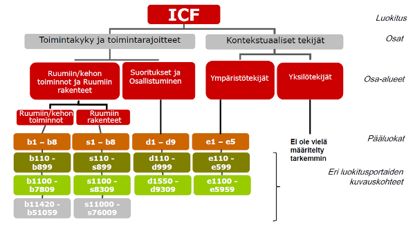 11 3.1 ICF-luokituksen rakenne ICF-luokitus on jaettu kahteen osaan: toimintakyky ja toimintarajoitteet sekä kontekstuaaliset tekijät.