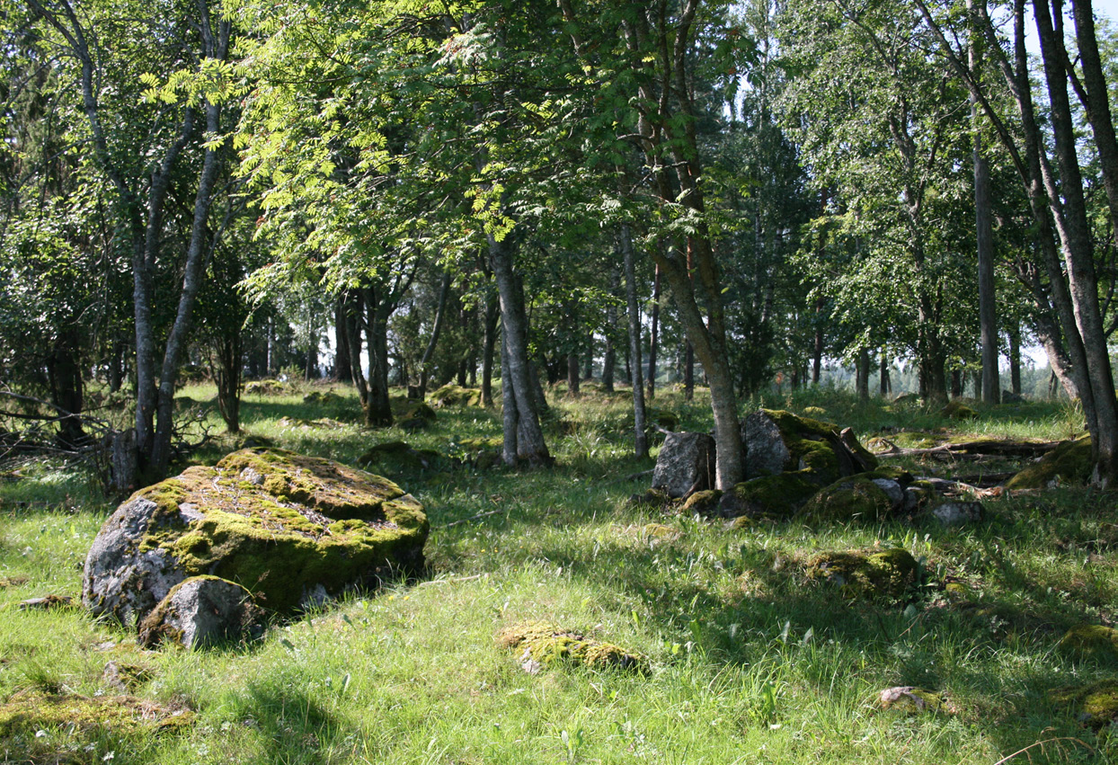 3 Erityistukialueiden laadun ja hoidon seuranta Heliölä, J. & Kuussaari, M. 3.