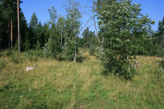 rikaan tapahtunut niillä maatiloilla, joilla sitä eniten olisi tarvittu. Tämä voi kertoa myös siitä, että viljelijät eivät saa riittävästi palautetta toimistaan.
