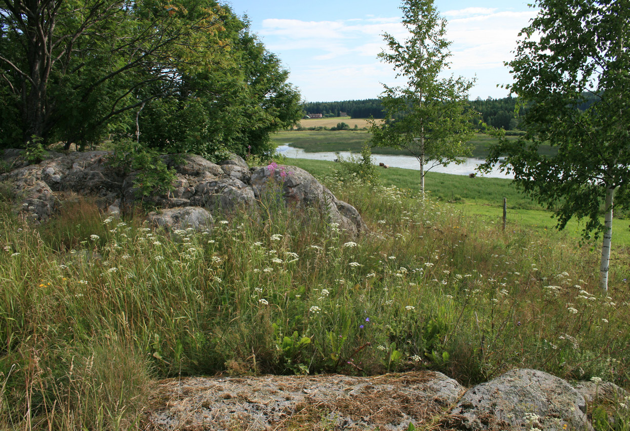 4 HNV-seurantaindikaattorin testaaminen maastoaineistoilla Heliölä, J.& Kuussaari, M. 4.