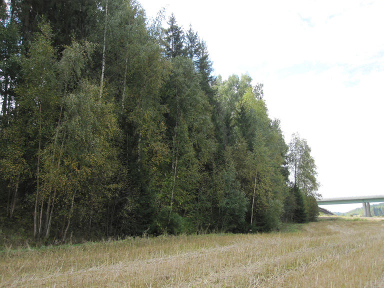 Kuva 3. Plus/miinustekijät yhteensä: 2. Kuva 4.