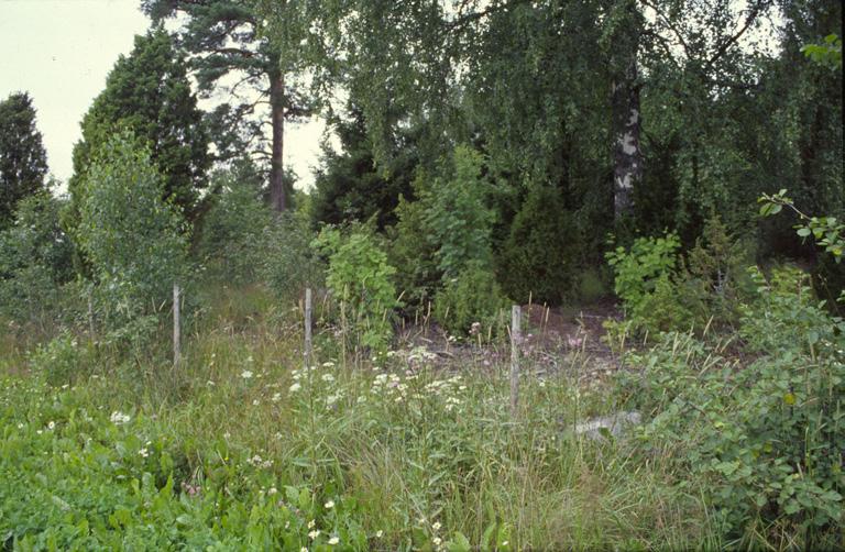 Kuva 5. Plus/miinustekijät yhteensä: +9. Kuva 6.