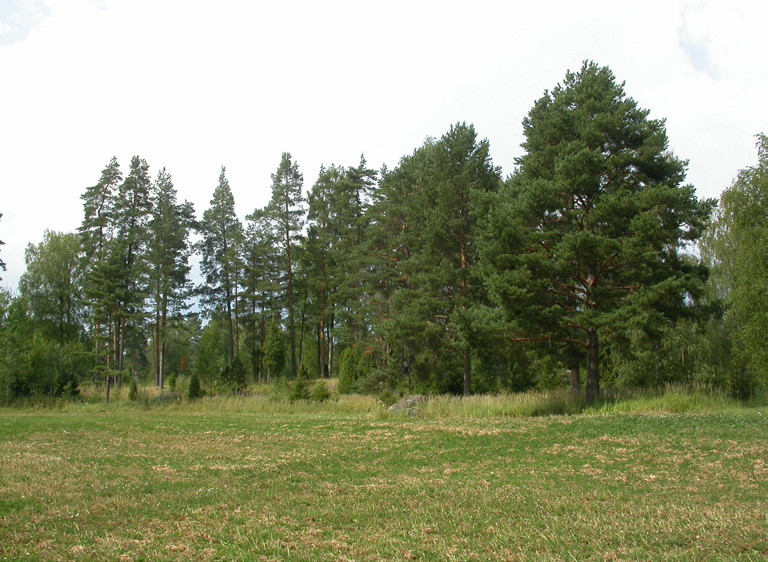 Kuva 7. Plus/miinustekijät yhteensä: +8. Kuva 8.