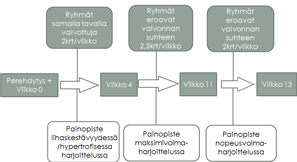 40 KUVA 3. Tutkimusasetelma, josta ilmenee voimamittausten ajankohdat, harjoittelun painopisteet, valvonnan eroavaisuudet sekä keskimääräinen harjoitusfrekvenssi. 7.