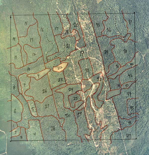 28 KUVA 9. 2 * 2 km valtakunnan metsien inventoinnin kuvakoeala 1:20 000 (National forest inventory 2010, 39 53). Maanpeittävyys laskelmat perustuvat sen hetkelliseen tilanteeseen.