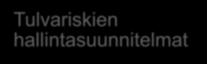 Tulvalain toimeenpano Tulvariskien alustava arviointi 22.12.