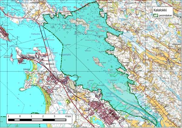 207 Kartta 254. Kalalokin kriteerin ylittävät pesimäalueet Porin Preiviikin- ja Viasvedenlahdella.