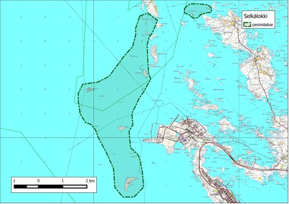 211 Kartta 261. Selkälokin kriteerin ylittävät pesimäalueet Merikarvian Revelin Truutikarin alueella.