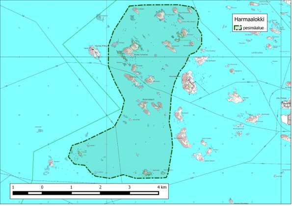 218 Kartta 272. Harmaalokin pesimäalue Merikarvian Ourissa ja Truutinkareilla.