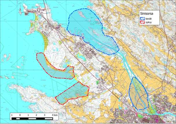 54 Taulukko 24. Suurimmat parimäärät Satakunnassa 2006-2014. Sinisorsa, Anas platyrhynchos kunta parimäärä laskentavuosi Koskeljärvi (kartta 1.) Eura 49 2013 Sääksjärvi (kartta 1.