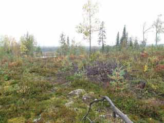 7 Huurre Matti, Keränen Jorma ja Turpeinen Oiva 1988. Hyrynsalmen historia. Jyväskylä. Huurre, Matti ja Turpeinen, Oiva 1992. Leipä luonnosta. Suomussalmen kymmenen vuosituhatta. Keuruu.