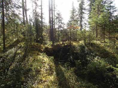 17 Tervahauta HYRYNSALMI 2 HIETALAMPI Mjtunnus: Rauh.