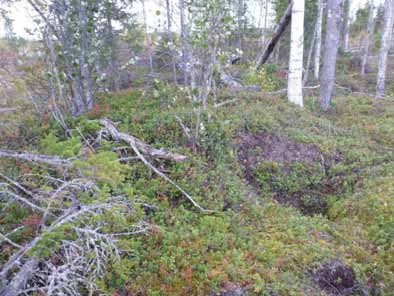 lk: 2 Ajoitus: Laji: historiallinen