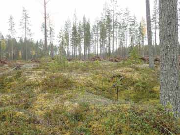 Kehämäinen pinnanmuoto: valli, sen sisäpuolelleen rajaamalla alueella kehämäinen kohouma, kehän keskellä pyöreähkö, umpinainen kohouma.