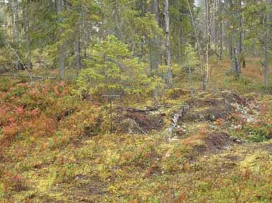 35 Tutkijat: Sijainti: Huomiot: H. Poutiainen & V. Laakso 2012 inventointi Paikka sijaitsee Hyrynsalmen kirkosta 18,3 km itään. Tervahauta. Edellisen vieressä, metsätien ojassa kiinni.