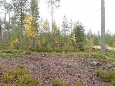 36 HYRYNSALMI 15 MATALA-KOKKOKANGAS 2 Mjtunnus: Rauh.