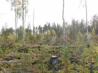 Vallin ulkosivulla on ojamainen kapea kaivanto. Juoksutuskuoppa on koillispuolella, se on pitkänomainen, pituus 4, leveys 2 ja syvyys 1,2 m.