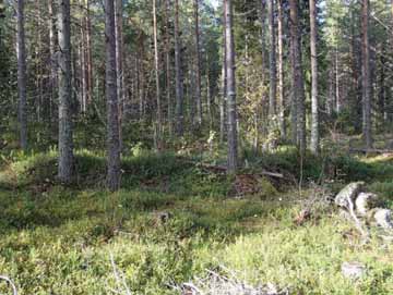 Kehämäinen pinnanmuoto: valli, sen sisäpuolelleen rajaamalla alueella kehämäinen kohouma, kehän keskellä pyöreähkö umpinainen kohouma. Vallin ulkosivua kiertää kapea ja matala, ojamainen kaivanto.