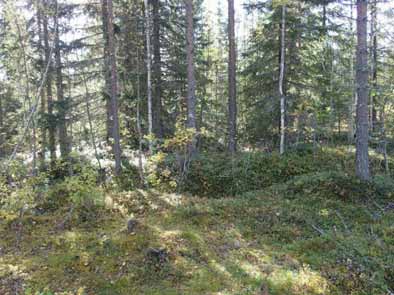 50 SUOMUSSALMI 27 TELKKÄSUO 3A Mjtunnus: Rauh.