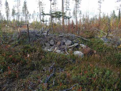 51 Koordin: N: 7178 418 E: 589 353 Z: 224 X: 7180 568 Y: 4446 550 P: 7181 423 I: 3589 561 Tutkijat: Sijainti: H. Poutiainen & V.