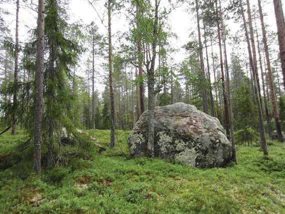 LUONTOSELVITYS 16UEC144 20.12.