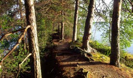 JULMAT LAMMIT JA RUNEBERGIN POLKU HAIKANKÄRKI MUINAIS- JA LUONTOPOLKU Kokkola Julmat lammit 2,3 km Saarijärvelle 6 km Pysäköintialue Tulipaikka Uimalaituri Muinais- ja luontopolku, reitin pituus n.