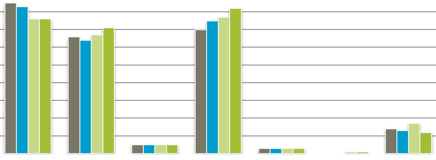 JOUKKOLIIKENNEKATU- JA ELÄVÖITTÄMISKOKEILUN VAIKUTUKSET 1.