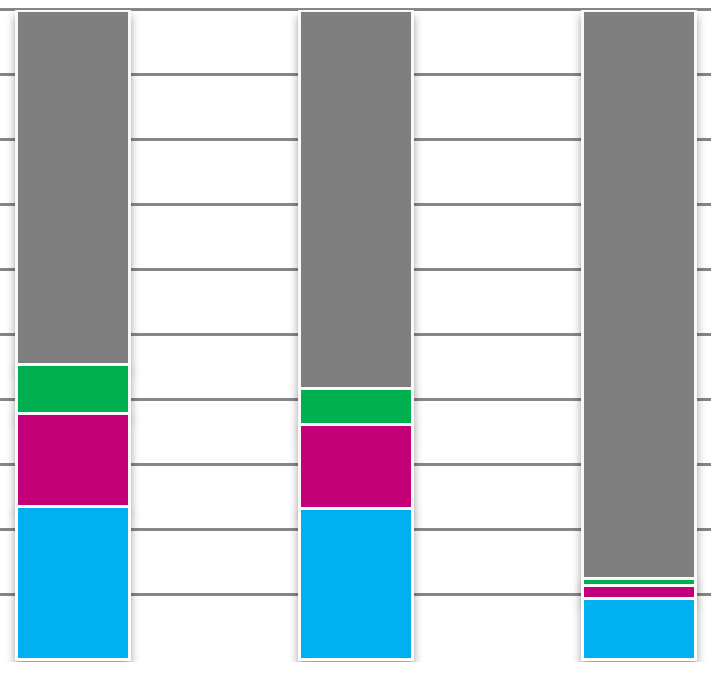 JOUKKOLIIKENNEKATU- JA ELÄVÖITTÄMISKOKEILUN VAIKUTUKSET vussa (Virhe. Viitteen lähdettä ei löytynyt.).