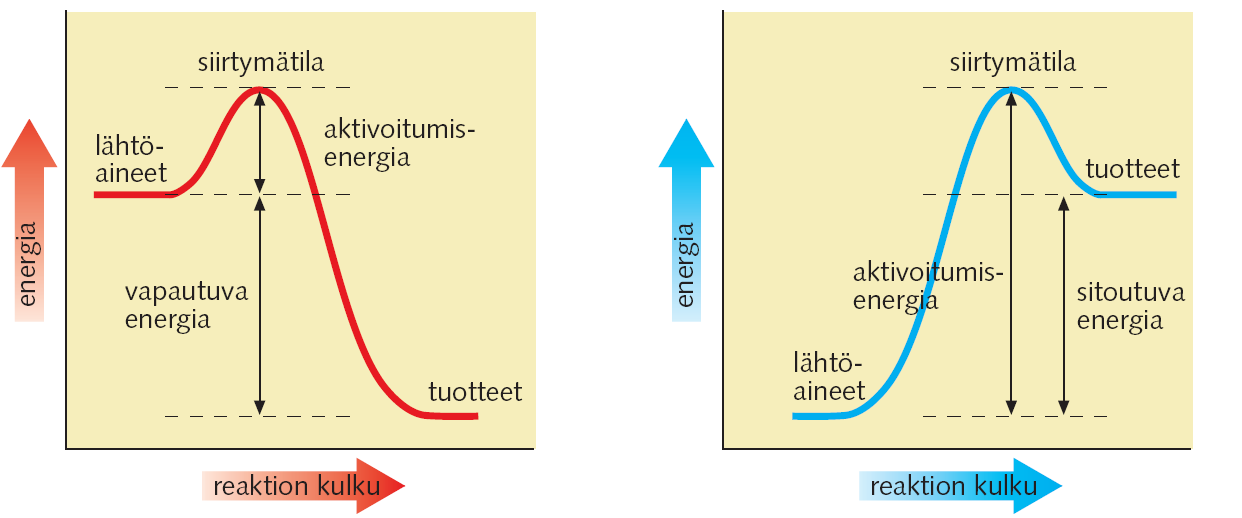 Lämpötian nostaminen isää nopeasti iikkuvien rakenneosien ukumäärää. Reaktionopeus kaksinkertaistuu (noin), kun ämpötiaa nostetaan 10 astetta.