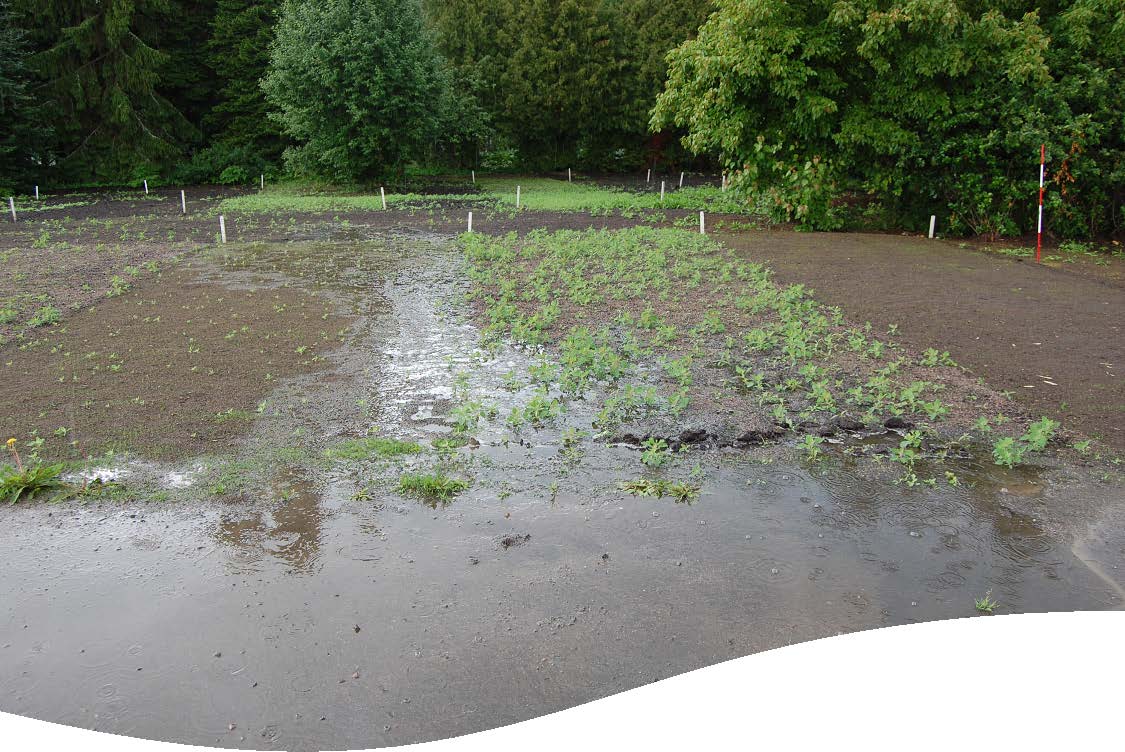 Eutrophication impact Jos ilmastovaikutus on riippuvainen turvepitoisuudesta, osoittaa tämä kaaviokuva, kuinka rehevöittävät päästöt ovat riippuvaisia kompostipitoisuudesta.